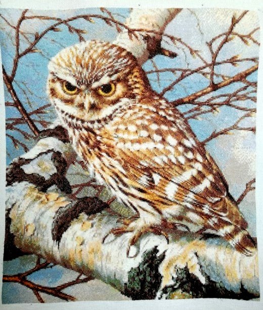 Pelėdžiukė 39-PC - Image 3