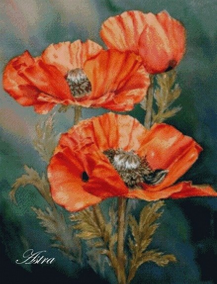 Aguonos 80-GL - Image 2