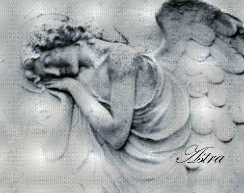 Angelas 16-RL - Image 2
