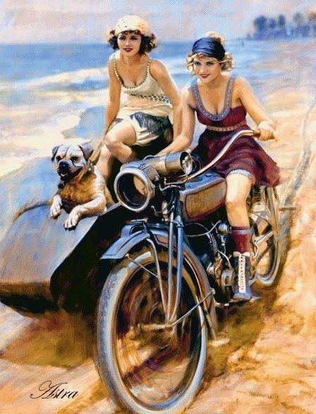Ant motociklo 202-ZM - Image 2