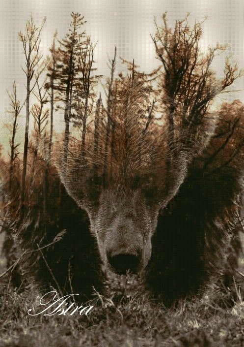 Grizlis 18-GV - Image 2