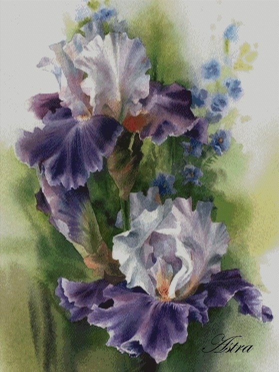 Irisai 99-GL - Image 2