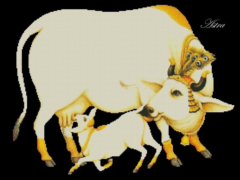Karvė ir teliukas 36-GV - Image 2