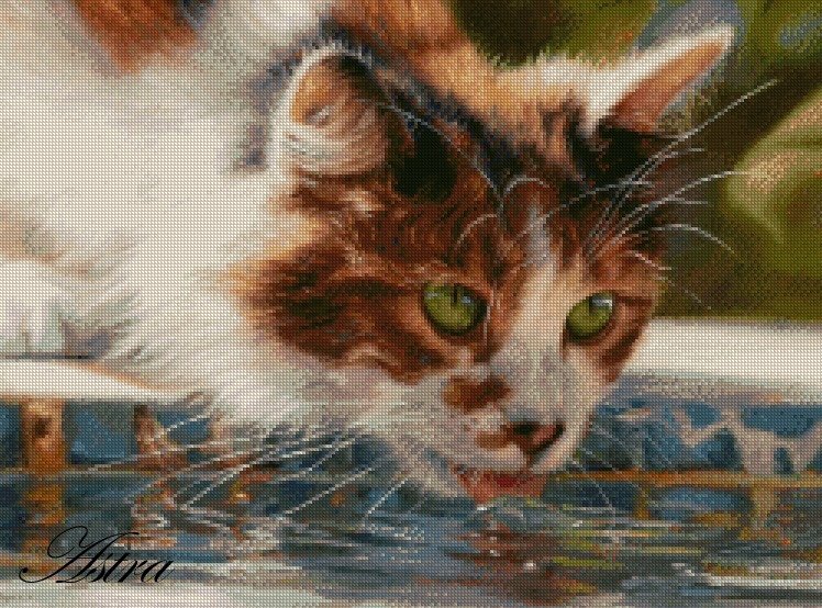 Margas katinas 1-KS - Image 2