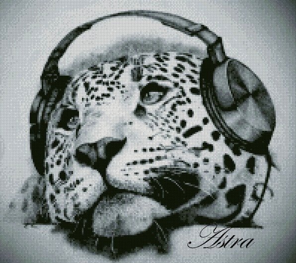 Muzika 31-GV - Image 2