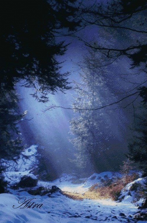 Naktis miške 33-PZ - Image 2