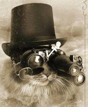 Katinas. Steampunk 4-ST