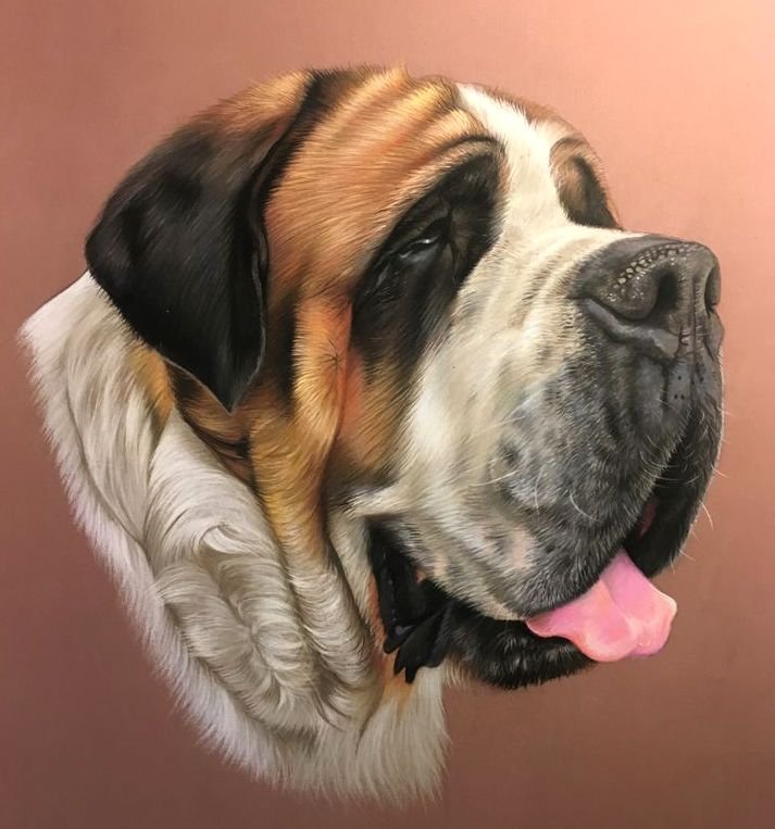 Saint Bernard 12-KS