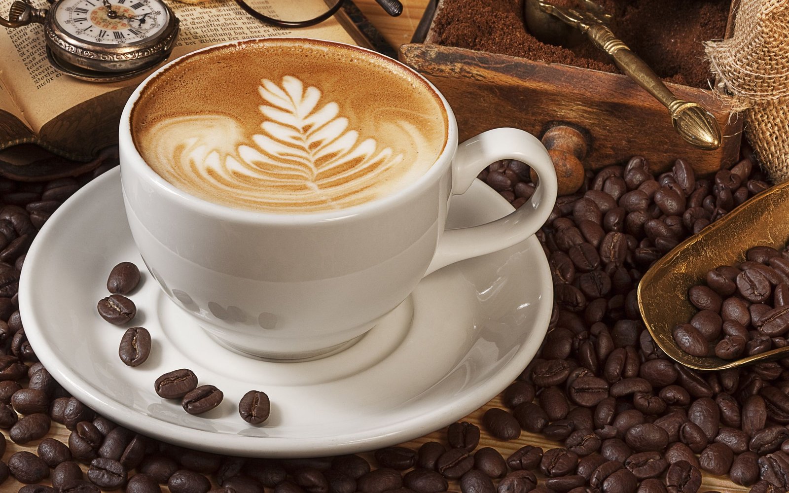 Cappuccino 24-IV