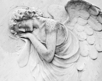 Angelas 16-RL
