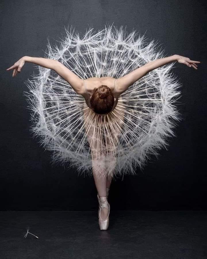 Balerina 8-SK