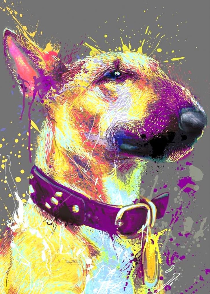 Bull Terrier 48-KS