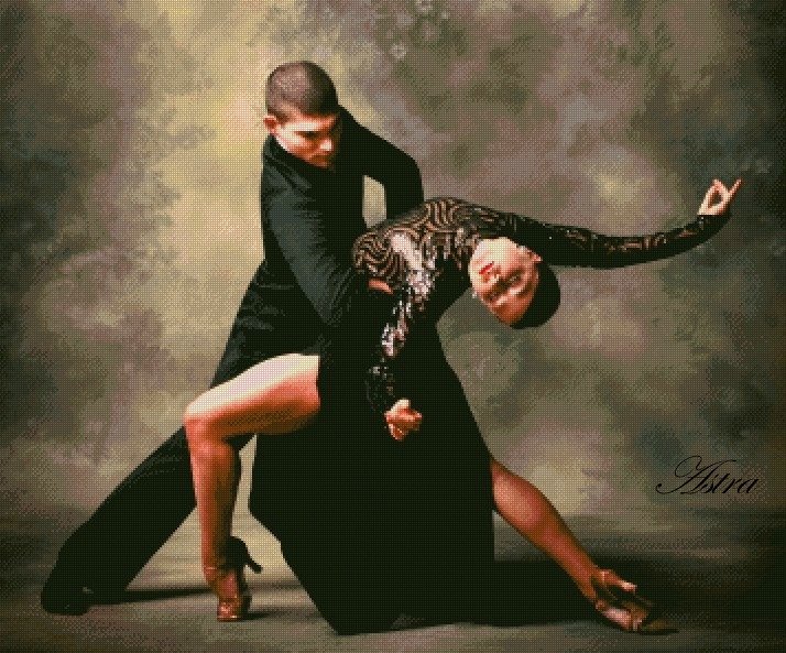 Tango 6-SK - Image 2
