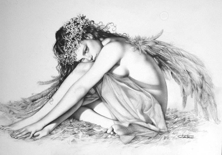 Angelas 36-MB